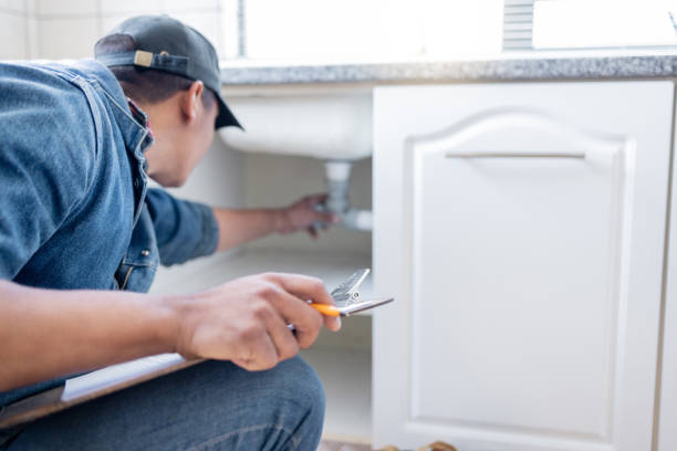 Best Local Plumber Services  in Coal City, IL
