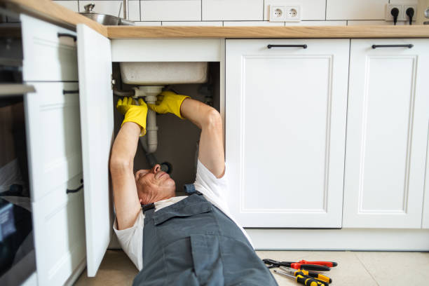 Best Shower Repair Services  in Coal City, IL